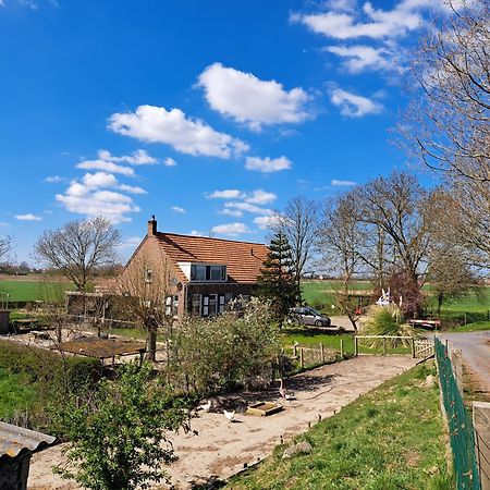 “In Oans Oefje” Parel In De Polder! Apartamento Lewedorp Exterior foto