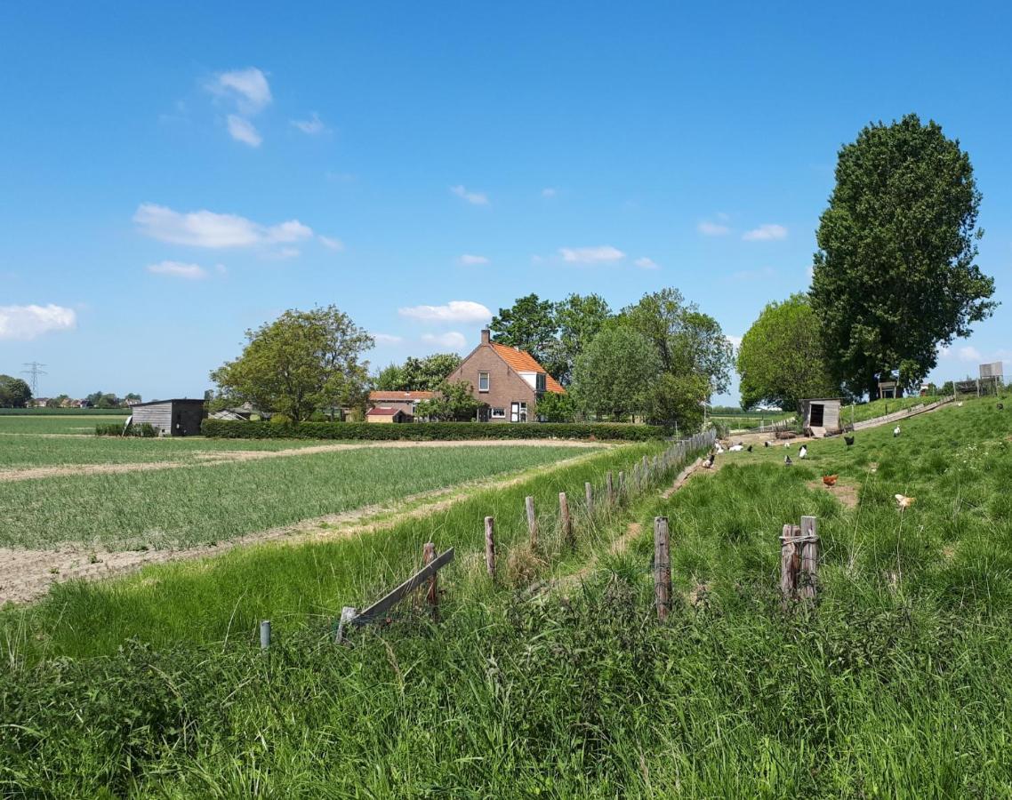 “In Oans Oefje” Parel In De Polder! Apartamento Lewedorp Exterior foto