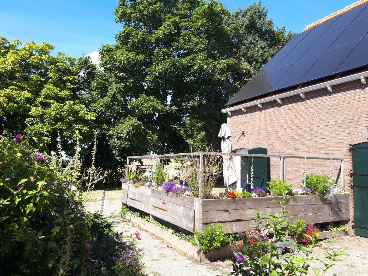 “In Oans Oefje” Parel In De Polder! Apartamento Lewedorp Exterior foto