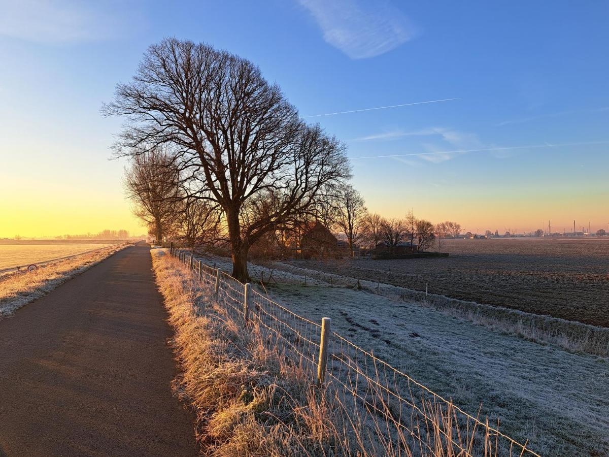 “In Oans Oefje” Parel In De Polder! Apartamento Lewedorp Exterior foto